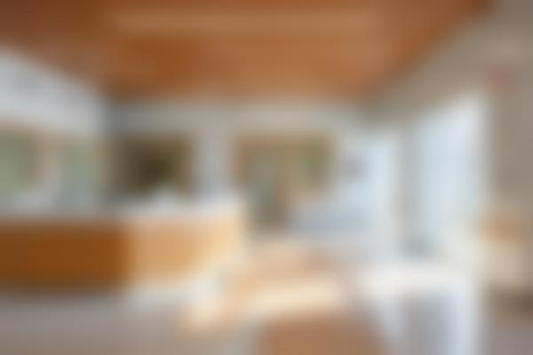 擅长项目与技术特点