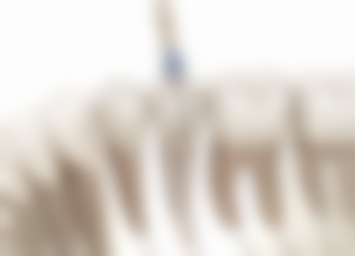 八、深圳李镇坤口腔诊所怎么预约？