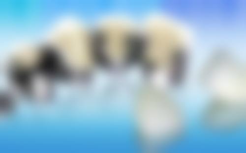 四、宜春佳美口腔门诊部特色项目