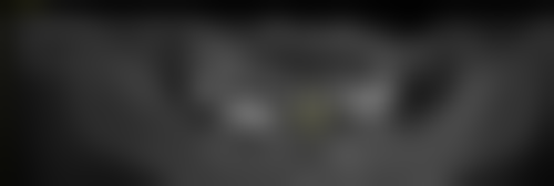 三、广东阳江圣健口腔医生介绍