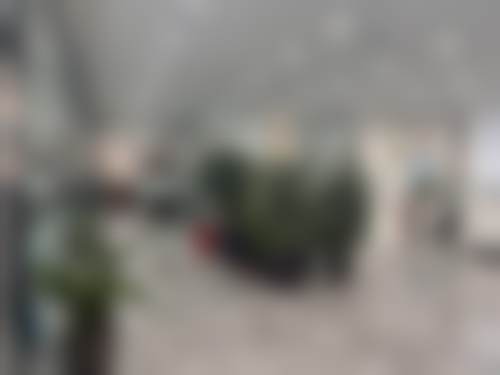 二、长春榆树金诺口腔门诊部正规吗？来看医院资质信息