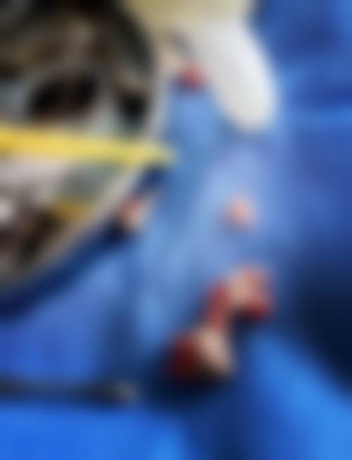 七、松原市宁江区精技口腔门诊部地址电话及营业时间