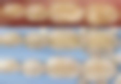 五、纽大口腔门诊部收费价格表