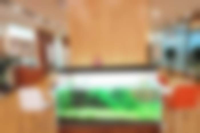 五、万柏林区太原维乐口腔医院收费价格表