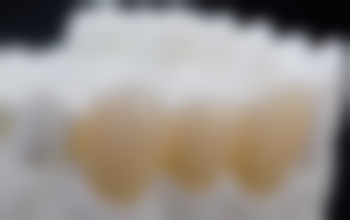 三、北京康贝佳李振芳医生资质信息