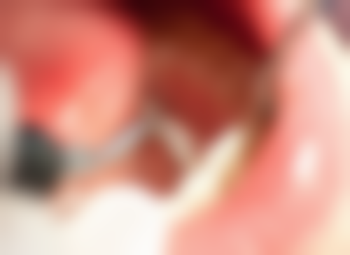 七、深圳尔睦口腔(海欣店)地址电话及营业时间