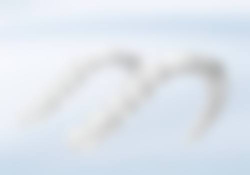 五、陈水玲口腔诊所收费价格表