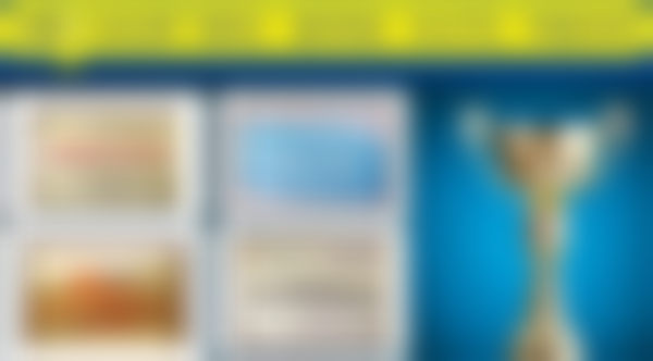 谢姗婷医生擅长方面