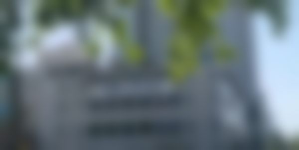 判断张蕊医生是否为渠道医生的依据