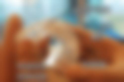 三、成都中诺口腔医院(高新区)医生介绍