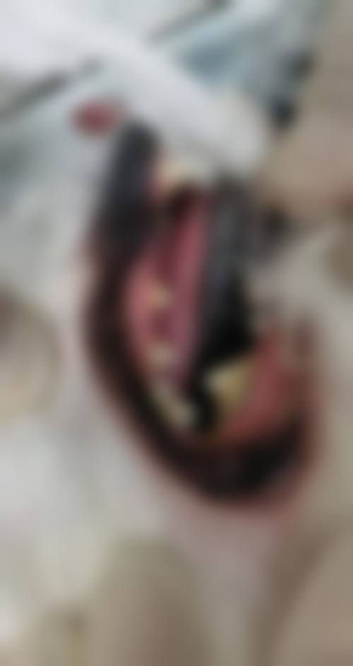 七、延安富县吴波口腔诊所地址电话及营业时间