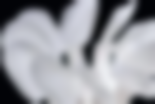 五、韩国Orbit医院收费价格表