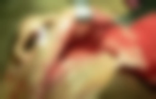 五、青羊高德口腔门诊部（通惠门分店）收费价格表