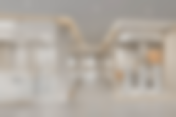 八、成都郫都一牙桔子口腔门诊部怎么预约？