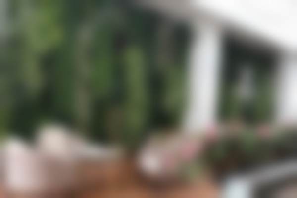 三、昆明柏德口腔熊俊医生资质信息