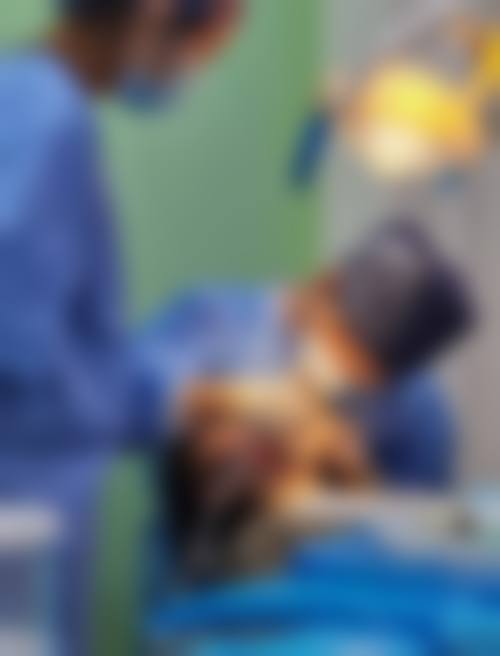 六、深圳微齿口腔诊所口碑如何？