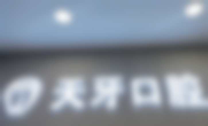 擅长项目展示实力