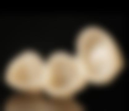 二、东莞叶子口腔门诊部正规吗？来看医院资质信息