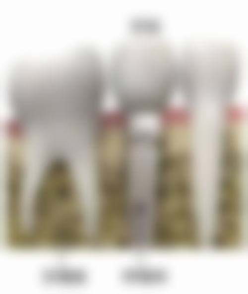 三、江苏南通新杏口腔医生介绍