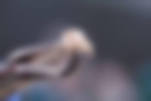 四、北京佳美口腔西坝河门诊特色项目