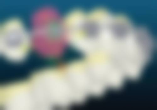 五、广州卢林凤口腔门诊部收费价格表
