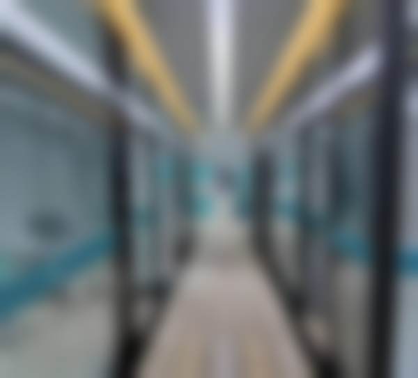 三、邢台美雅奇陈利燕医生资质信息