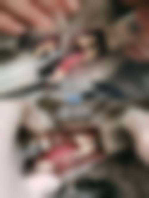 医疗团队情况