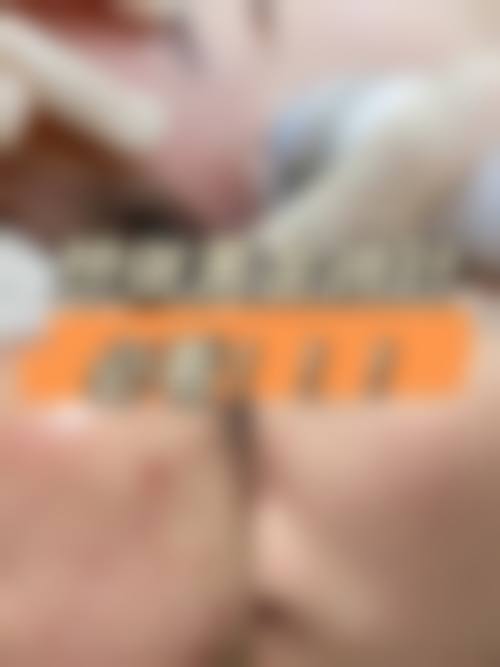 收费与价格原则说明