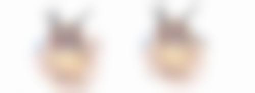 收费与价格原则说明