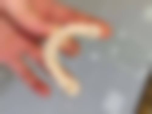 收费与价格原则说明