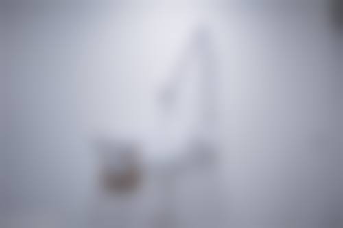 收费与价格原则说明