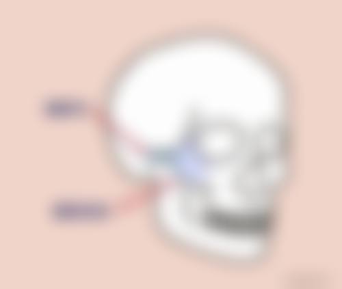 医院资质与合规声明