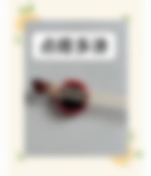 收费与价格原则说明