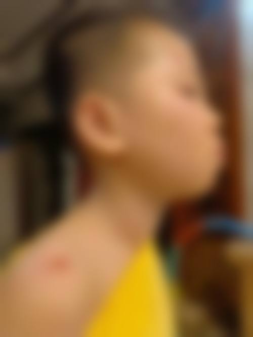 医疗团队情况