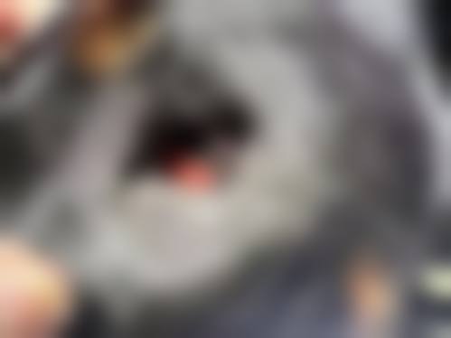 医疗设备与诊疗环境说明
