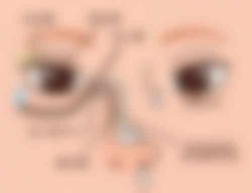 收费与价格原则说明