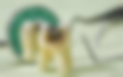 重点科室与诊疗项目介绍