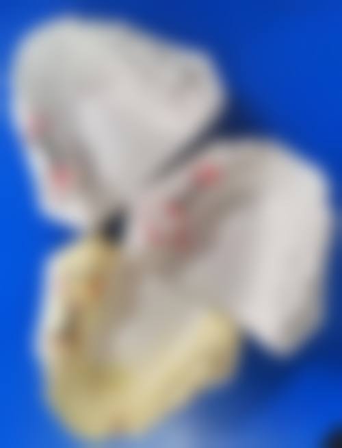 收费与价格原则说明