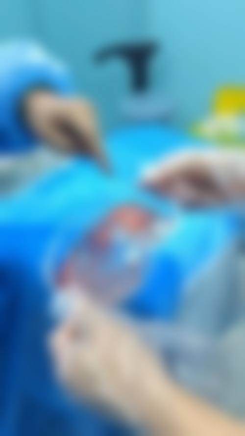 收费与价格原则说明