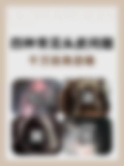 擅长项目详解
