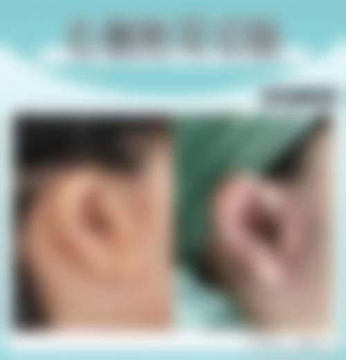 医生资质介绍:张大力医生的具有影响力认证
