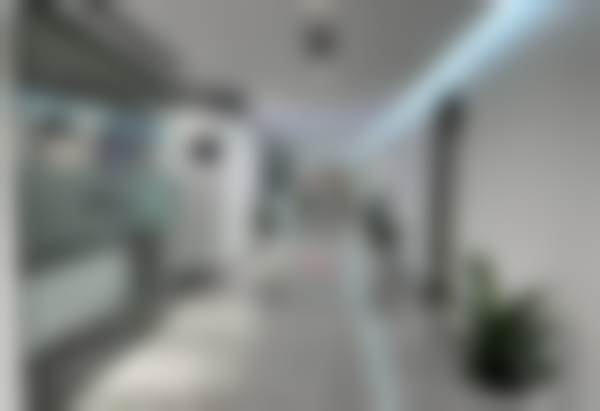二、珠海六和口腔卢卡斯·海因里希·德罗斯特（卢卡斯博士）医生擅长项目