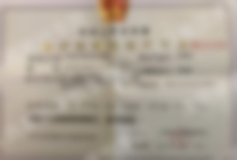 擅长项目详解
