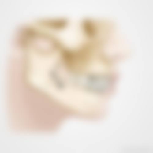 医生资质介绍