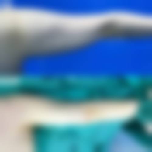 常见问题解答(FAQ)