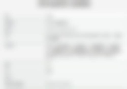 擅长项目详解