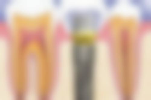 特色项目全方面覆盖,满足多样化口腔需求