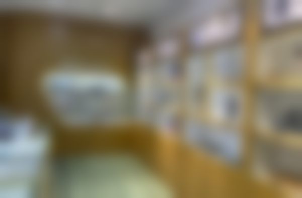 透明价格体系与无忧服务