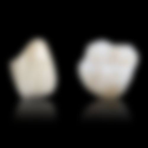 医生资质介绍：卢志磊+东莞仁华口腔(长安万达总院)+ 核心项目