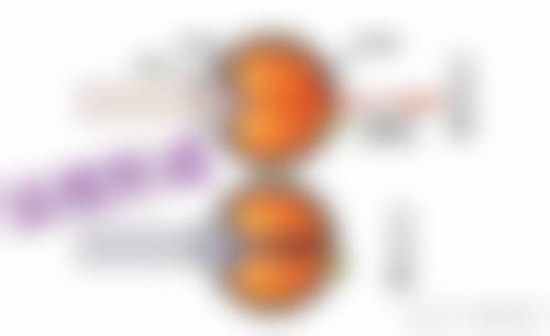 擅长项目详解：精细治疗眼部疾病